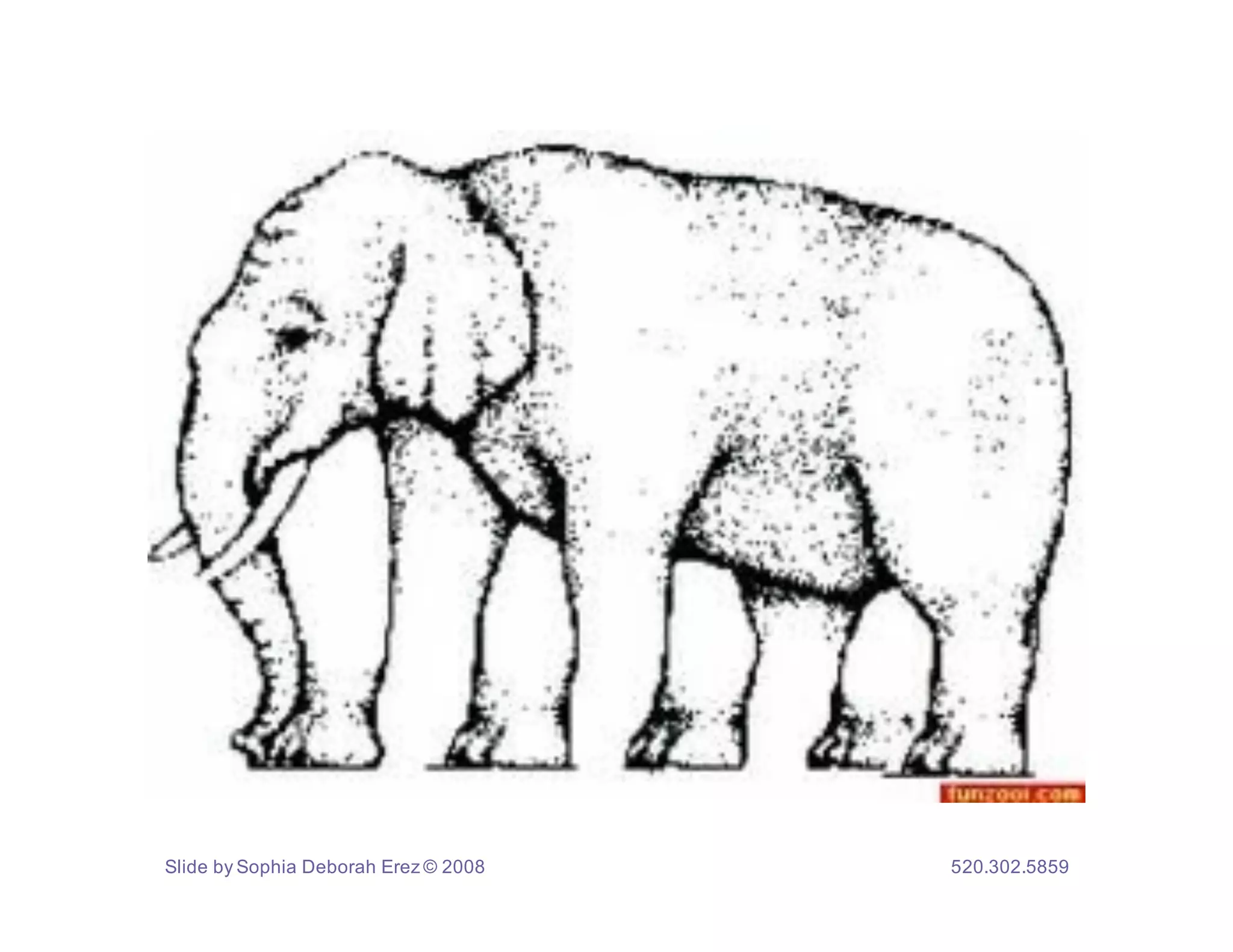 Slide by Sophia Deborah Erez © 2008   520.302.5859
 