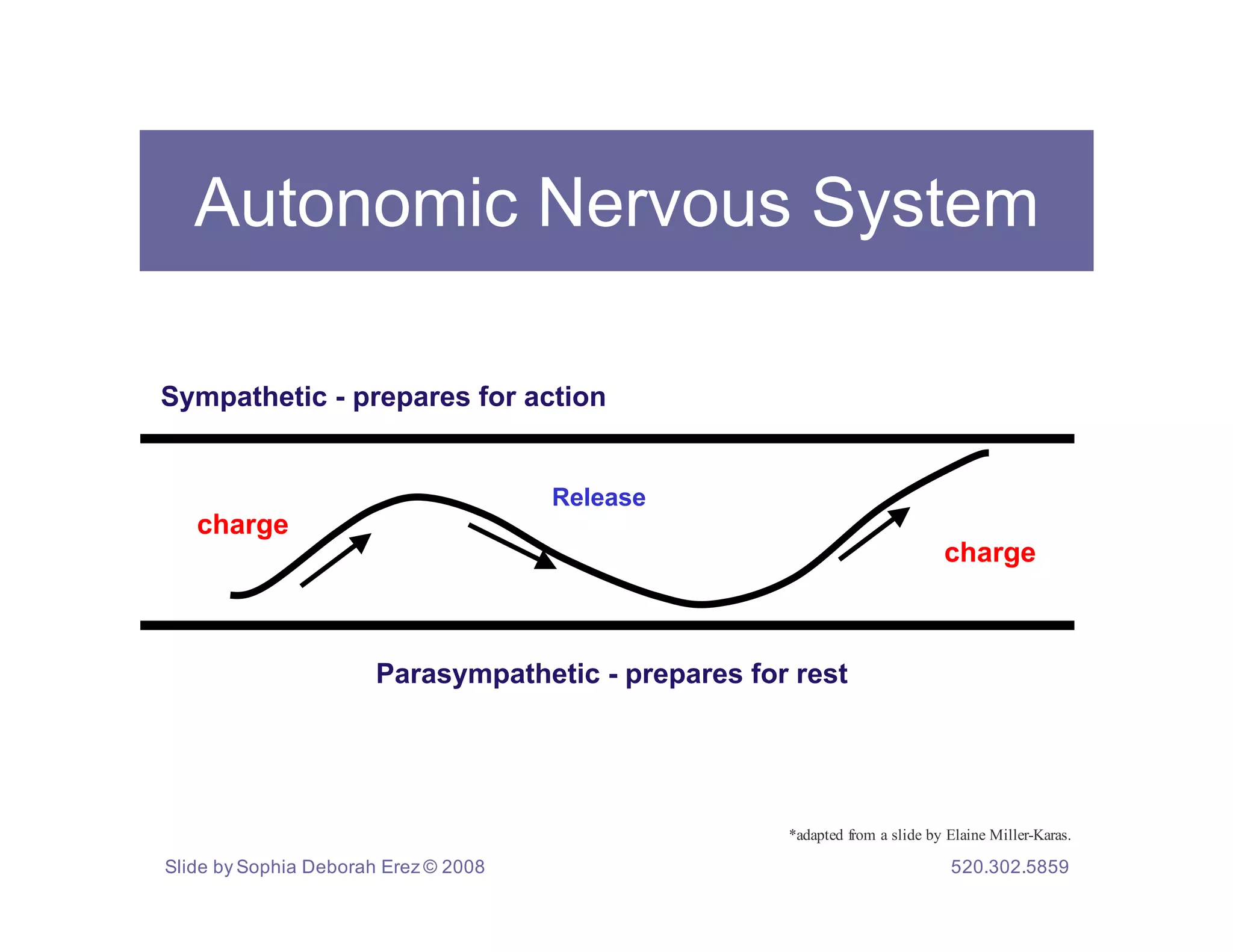 Autonomic Nervous System

Sympathetic - prepares for action


                                      Release
   charge
                                                                         charge



                       Parasympathetic - prepares for rest




                                                     THE NERVOUS SYSTEM Miller-Karas.
                                                      *adapted from a slide by Elaine AND TRAUMA
                                                                       Trauma Resiliency Model
Slide by Sophia Deborah Erez © 2008                                       520.302.5859
 