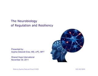 The Neurobiology
of Regulation and Resiliency




Presented by:
Sophia Deborah Erez, MS, LPC, MFT

Shared Hope International
November 30, 2011



 Slide by Sophia Deborah Erez © 2008   520.302.5859
 