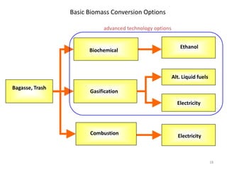 18
Basic Biomass Conversion Options
Biochemical
B
Combustion
Gasification
D
Ethanol
Electricity
Electricity
Alt. Liquid fuels
Bagasse, Trash
advanced technology options
 