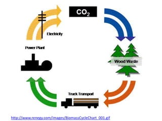 http://www.renegy.com/images/BiomassCycleChart_001.gif
 