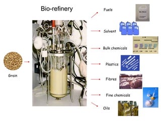 Fuels
Solvent
Bulk chemicals
Plastics
Fibres
Fine chemicals
Oils
Grain
Bio-refinery
 