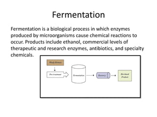 Fermentation
Fermentation is a biological process in which enzymes
produced by microorganisms cause chemical reactions to
occur. Products include ethanol, commercial levels of
therapeutic and research enzymes, antibiotics, and specialty
chemicals.
 
