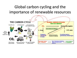 Global carbon cycling and the
importance of renewable resources
 