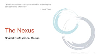 16© 1993-2015 Scrum.org, All Rights Reserved
The Nexus
Scaled Professional Scrum
“A man who carries a cat by the tail learns something he
can learn in no other way.”
- Mark Twain
 
