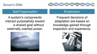 6© 1993-2015 Scrum.org, All Rights Reserved
A system’s components
interact purposefully toward
a shared goal without
externally exerted power.
Frequent decisions of
adaptation are based on
knowledge gained through
inspection and experience.
Scrum’s DNA
Self-Organization Empiricism
 