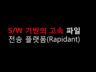 S/W 기반의 고속 파일
전송 플랫폼(Rapidant)
 
