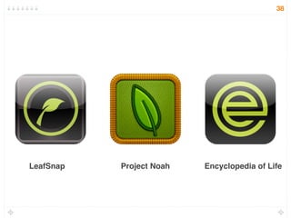 LeafSnap Project Noah Encyclopedia of Life
38
 