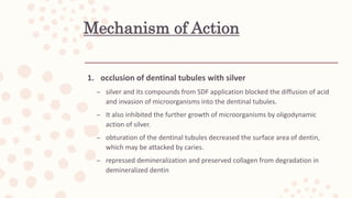 Mechanism of Action
1. occlusion of dentinal tubules with silver
– silver and its compounds from SDF application blocked the diffusion of acid
and invasion of microorganisms into the dentinal tubules.
– It also inhibited the further growth of microorganisms by oligodynamic
action of silver.
– obturation of the dentinal tubules decreased the surface area of dentin,
which may be attacked by caries.
– repressed demineralization and preserved collagen from degradation in
demineralized dentin
 