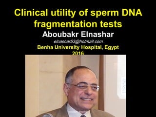 Clinical utility of sperm DNA
fragmentation tests
Aboubakr Elnashar
elnashar53@hotmail.com
Benha University Hospital, Egypt
2016
Aboubakr Elnashar
 