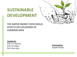 SUSTAINABLE
DEVELOPMENT
THE WATER ENERGY FOOD NEXUS:
EFFECTS ON LIVLIHOODS OF
COMMON MAN
GUIDED BY-
Prof- G.S. Bramha
Prof- Sri Lalitha
Prof- Renu Rani
Presented by-
Gayathri Naidu
 