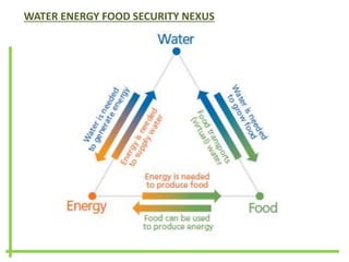 WATER ENERGY FOOD SECURITY NEXUS
 