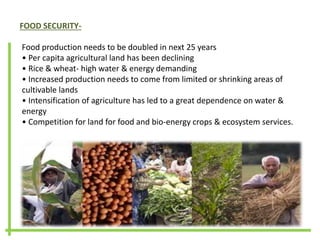 FOOD SECURITY-
Food production needs to be doubled in next 25 years
• Per capita agricultural land has been declining
• Rice & wheat- high water & energy demanding
• Increased production needs to come from limited or shrinking areas of
cultivable lands
• Intensification of agriculture has led to a great dependence on water &
energy
• Competition for land for food and bio-energy crops & ecosystem services.
 