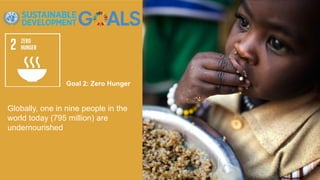 Goal 2: Zero Hunger
Globally, one in nine people in the
world today (795 million) are
undernourished
 