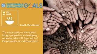Goal 2: Zero Hunger
The vast majority of the world’s
hungry people live in developing
countries, where 12.9 per cent of
the population is undernourished.
 