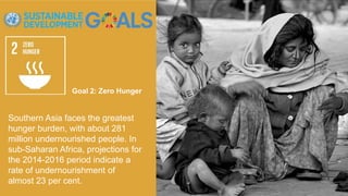 Goal 2: Zero Hunger
Southern Asia faces the greatest
hunger burden, with about 281
million undernourished people. In
sub-Saharan Africa, projections for
the 2014-2016 period indicate a
rate of undernourishment of
almost 23 per cent.
 