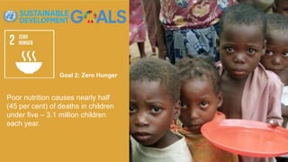 Goal 2: Zero Hunger
Poor nutrition causes nearly half
(45 per cent) of deaths in children
under five – 3.1 million children
each year.
 