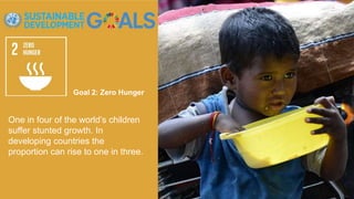Goal 2: Zero Hunger
One in four of the world’s children
suffer stunted growth. In
developing countries the
proportion can rise to one in three.
 