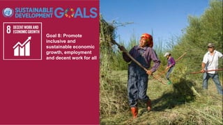 Goal 8: Promote
inclusive and
sustainable economic
growth, employment
and decent work for all
 