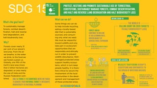 SDG 15
 
