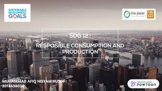 SDG 12 (Responsible Consumption and Production)