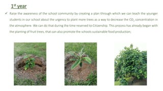  Raise the awareness of the school community by creating a plan through which we can teach the younger
students in our school about the urgency to plant more trees as a way to decrease the CO2 concentration in
the atmosphere. We can do that during the time reserved to Citizenship. This process has already began with
the planting of fruit trees, that can also promote the schools sustainable food production;
1st year
 