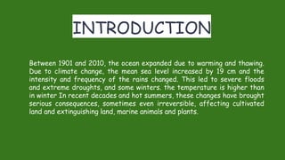 Sdg 13 presentation | PDF