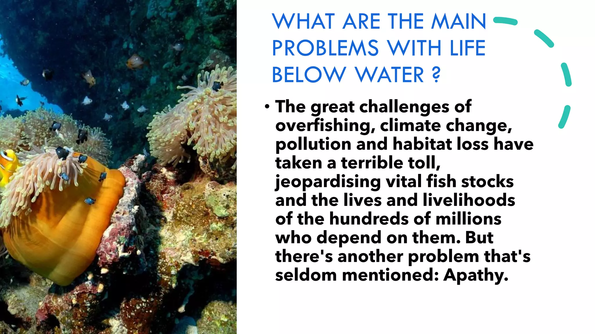 WHAT ARE THE MAIN
PROBLEMS WITH LIFE
BELOW WATER ?
• The great challenges of
overfishing, climate change,
pollution and habitat loss have
taken a terrible toll,
jeopardising vital fish stocks
and the lives and livelihoods
of the hundreds of millions
who depend on them. But
there's another problem that's
seldom mentioned: Apathy.
 