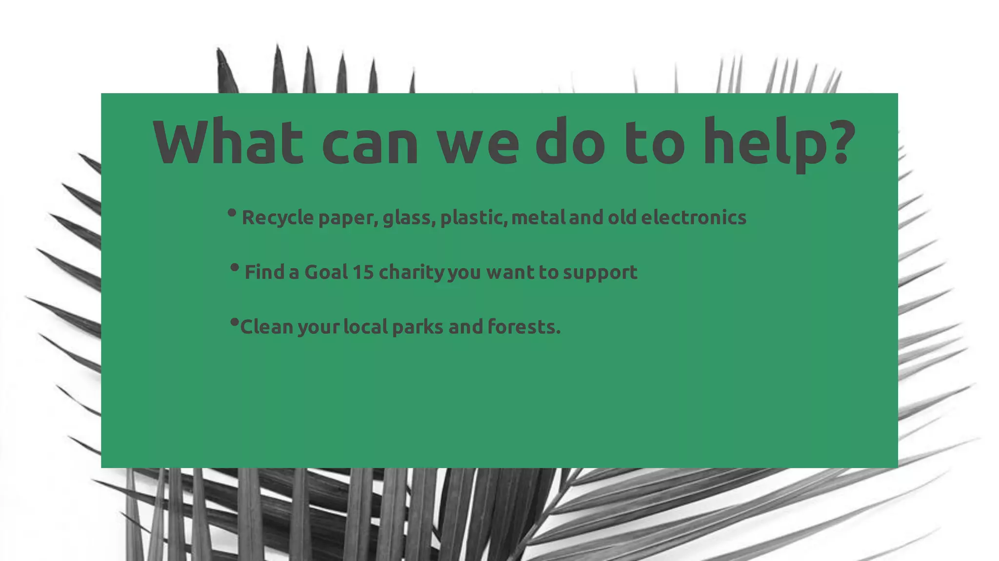 What can we do to help?
•Recycle paper, glass, plastic,metaland old electronics
•Find a Goal 15 charityyou want to support
•Clean yourlocal parks and forests.
 
