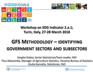 Workshop on SDG Indicator 2.a.1;
Turin, Italy, 27-28 March 2018
GFS METHODOLOGY – IDENTIFYING
GOVERNMENT SECTORS AND SUBSECTORS
Sangita Dubey, Senior Statistician/Team Leader, FAO
Titus Mwisomba, Manager of Agriculture Statistics, Tanzania Bureau of Statistics
Giulia Gonnella, Statistician, FAO
 