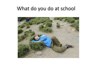 What do you do at school
 