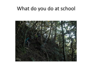 What do you do at school
 