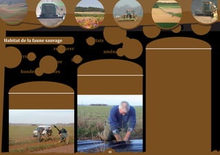 Schéma Départemental de Gestion Cynégétique
   de la FICEVY - 2009/2015




habitat de la faune sauvage                                          habitats                       haies
                                                                                                                                    moyens	:
                                                   restaurer
                                                                                    aménager                       orientation°1	:
    biocorridors                                                                                                   pourSuiVre	 les	 opérations	 de	 restauration	
                                                            gérer                                                  de milieu favorable à la faune sauvage et à la
                                               protéger                                                            biodiversité, notamment avec la plantation de
                                                                           Constats/                               haies	 à	 base	 d’essences	 locales,	 le	 maintien	 des	
                                                                                                                   bandes enherbées, les initiatives jachères, ainsi
                     bandes	enherbées                                   problématique	:                            que l’implantation judicieuse de couverts...

                                                                                                                   orientation	n°2	:
                                                                    Les milieux naturels sont soumis à de fortes   DéVelopper les partenariats avec le monde
                                                                       pressions qui engendrent parfois leur       agricole, notamment via le programme agrifaune
                                                                     disparition, souvent leur fragmentation, et   afin de préserver des habitats favorables à la
                       objectif SDGC :                                   régulièrement des dérangements.
                                                                                                                   petite faune.

                                                                                                                   orientation	n°3	:
                                                                                                                   Continuer	de	s’impliquer	dans	une	politique	de	
             Favoriser la mise en place d’actions en vue
                                                                                                                   maîtrise foncière, que ce soit avec l’association
            de préserver, de protéger ou de restaurer les                                                          locale « faune et paysage » ou avec la fondation
               habitats naturels de la faune sauvage.                                                              pour la protection des habitats de la faune
                                                                                                                   sauvage.

                                                                                                                   orientation	n°4	:
                                                                                                                   reSter attentif, lors de nouveaux aménagements
                                                                                                                   infrastructurels, au maintien de bios corridors
                                                                                                                   afin de garantir la libre circulation de la faune
                                                                                                                   sauvage en demandant, notamment la mise en
                                                                                                                   place de dispositifs adaptés.

                                                                                                                   orientation	n°5	:
                                                                                                                   enCouraGer les rapprochements et fusion de
                                                                                                                   territoires de petite superficie, afin de constituer
                                                                                                                   des ensembles plus favorables à une gestion
                                                                                                                   durable de la faune sauvage.

                                                                                        0
 