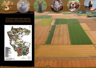 Schéma Départemental de Gestion Cynégétique
  de la FICEVY - 2009/2015




         localisation	des	entités	agricoles	
        de	plus	de	1	000	hectares	d’un	seul	
        tenant	dans	les	trois	départements




                                               
 
