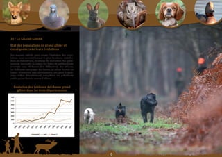 Schéma Départemental de Gestion Cynégétique
  de la FICEVY - 2009/2015




     31 - Le GranD GIbIer

     etat	des	populations	de	grand	gibier	et	
     conséquences de leurs évolutions
     Les moyens utilisés pour suivre l’évolution des popu-
     lations sont essentiellement le plan de chasse (attribu-
     tions et réalisations), la vitesse de réalisation des prélè-
     vements (mesurée au retour des fiches de prélèvements
     renvoyés sous 48 heures à la fédération). Par ailleurs,
     les différents comptages (au brame, au phare de nuit, en
     battue silencieuse avec observateurs, sur place d’agrai-
     nage, Indice Kilométrique) complètent les précédents
     outils, qui au besoin, seront à affiner.


         evolution des tableaux de chasse grand
           gibier	dans	les	trois	départements




                                                                    
 