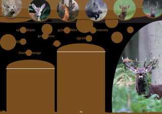 Schéma Départemental de Gestion Cynégétique
  de la FICEVY - 2009/2015




                     sylviculture                             grand	gibier                   aménagements
                                              protection
                                                                                    agrainage
         équilibre
                                                            gérer
                                                                               moyens	:
                          faune sauvage                        article 5 : Période d’affouragement ou
                                                               d’agrainage	des	ongulés	:
                                                               L’affouragement ou l’agrainage peut être pratiqué
                                                               uniquement	en	période	sensible,	du	1	mars	au	30	
                                 moyens	:                      septembre, en vue de dissuader les ongulés de
                                                               commettre	 des	 dégâts	 aux	 cultures	 agricoles.	 en	
                                                               dehors	de	ces	périodes,	il	est	interdit.
       article	4	:	aliments	utilisés	pour	les	
       ongulés	:                                               article 6 : Lieu d’affouragement ou
       L’affouragement ou l’agrainage des ongulés              d’agrainage	des	ongulés	:
       devra être réalisé à l’aide de végétaux usuels non      L’affouragement ou l’agrainage des ongulés est
       transformés. tous les traitements additionnés           interdit en plaine, ainsi que dans les massifs
       ou intégrés aux végétaux usuels non transformés         boisés	de	moins	de	100	hectares	d’un	seul	tenant.	
       sont interdits (anti-coccidiens, vermifuges,            De même, l’agrainage et l’affouragement à moins
       vitamines…).                                            de 150 m d’une poste fixe est interdit. L’affût
                                                               à	 moins	 de	 150	 m	 d’une	 place	 d’agrainage	 ou	
                                                               d’affouragement est interdit.
                                                               L’agrainage ou l’affouragement est recommandé à
                                                               plus	de	150	m	d’une	plaine	agricole.




                                                                                        
 