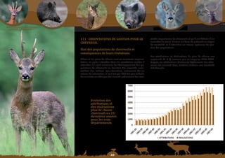 Schéma Départemental de Gestion Cynégétique
  de la FICEVY - 2009/2015




                                                                                                             talités importantes de chevreuils et qu’il est difficile d’en
                                                                                                             connaître la cause. L’enjeu est donc de prévenir ce risque
                                              311 - orIentatIonS De GeStIon Pour Le
                                                                                                             de mortalité et d’atteindre un niveau optimum de ges-
                                                                                                             tion des populations.
                                              CheVreuil

                                              etat des populations de chevreuils et

                                                                                                             Les attributions et réalisations de plan de chasse ont
                                              conséquences de leurs évolutions
                                              Même si les plans de chasse sont en constante augmen-          augmenté de 8 % environ par an jusqu’en 2004-2005.
                                              tation, on peut s’attendre dans les prochaines années à        Depuis, les réalisations diminuent légèrement. Les chas-
                                              atteindre un seuil maximum de développement des po-            seurs ont constaté dans certains secteurs une mortalité
                                              pulations de chevreuils en fonction des capacités nour-        inhabituelle.
                                              ricières des milieux agro-forestiers, autrement dit un
                                              niveau de saturation, si ce n’est pas déjà fait par endroit.
                                              On constate en effet que des massifs présentent des mor-




                                                       evolution des
                                                       attributions	et	
                                                       des	réalisations	
                                                       plan	de	chasse	
                                                       chevreuil ces 25
                                                       dernières années
                                                       pour	les	trois	
                                                       départements




                                                                          0
 