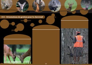 Schéma Départemental de Gestion Cynégétique
   de la FICEVY - 2009/2015




311 - orientations de gestion pour le chevreuil
          formation                                                                                 suivi
                                                                                                                                     moyens	:
                                                indicateurs
                                                                                       flore                          orientation	n°5	:
          équilibre                                                                                                   oBliGer le retour des fiches de tir sous 48 heures

                                           chevreuil     gérer                                                        à la FICeVY pour assurer une fiabilité des analyses
                                                                                                                      de	tableau.
                                                                              moyens	:
                               populations                    orientation	n°1	:
                                                              propoSer une formation à l’intention des
                                                              responsables	de	territoire	de	chasse	sur	la	gestion	
                                                              durable du chevreuil, en lien avec les unités de
                                                              Gestion	et	la	mise	en	place	d’indicateurs	(poids	des	
                       objectif SDGC :                        chevrillards, Indice Kilométrique d’abondance,
                                                              indices de pression de flore, mortalité anormale,
                                                              densité…).
                             Continuer	à	bien	gérer
                         les populations de chevreuils        orientation	n°2	:
                                                              orGaniSer la collecte des indicateurs de suivi de
                                                              population	sur	des	territoires	pilotes.	

                                                              orientation	n°3	:
                                                              aFFiner	 les	 attributions	 de	 plan	 de	 chasse	 en	
                                                              fonction des informations disponibles.

                                                              orientation	n°4	:	
                                                              enCouraGer une gestion qualitative par les
                                                              moyens d’information et de formation.




                                                                                      
 