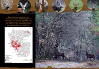 Schéma Départemental de Gestion Cynégétique
  de la FICEVY - 2009/2015




           répartition	communale	des	
        270 hectares de surfaces agricole
       détruites par le « cerf élaphe » dans
        les	départements	de	l’essonne,	du	
        Val d’oise et des Yvelines pour un
          montant de 201 000 € en 2004




                                               
 