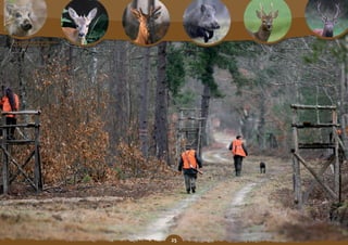 Schéma Départemental de Gestion Cynégétique
  de la FICEVY - 2009/2015




                                              
 