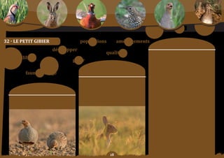 Schéma Départemental de Gestion Cynégétique
   de la FICEVY - 2009/2015




32 - Le PetIt GIbIer                                           populations                aménagements
                                                                                                                                   moyens	:
                                               développer
                                                                                  qualitatif                      orientation	n°1	:
         équilibre                                                                                                mettre	 en	 plaCe un dispositif territorial,
                                                            gérer                                                 dénommé unité de Gestion, facilitant la gestion du
                                                                                                                  petit	gibier	sédentaire	ou	migrateur.
                                                                       Constats/                                  orientation	n°2	:
                           faune sauvage                            problématique	:                               DéVelopper les partenariats visant à favoriser la
                                                                                                                  petite faune.

                                                                 Bien	que	théorique,	le	concept	de	l’équilibre	   orientation	n°3	:
                                                                  agro-sylvo-cynégétique permet de définir        Les dates de broyage des jachères doivent être
                                                                les objectifs et les moyens capables d’assurer    adaptées à la faune sauvage, il convient de définir
                       objectif SDGC :                             la présence durable d’une faune sauvage
                                                                     riche et variée, sans compromettre la
                                                                                                                  un	calendrier	plus	approprié.	

                                                                                                                  orientation	n°4	:
                                                                    pérennité	et	la	rentabilité	économique        enCouraGer	 l’agrainage	 du	 petit	 gibier	 toute	
            Conforter, développer le petit gibier dans le             des activités agricoles et sylvicoles…      l’année avec des dispositifs adaptés.
          respect des équilibres agro-sylvo-cynégétiques.
                                                                                                                  orientation	n°5	:
                                                                                                                  DéVelopper toutes les initiatives de gestion
                                                                                                                  concertée quelque soit leur forme (GIC,
                                                                                                                  association,	entente	tacite...).

                                                                                                                  orientation	n°6	:
                                                                                                                  enCouraGer le suivi et la gestion des populations
                                                                                                                  de	 petit	 gibier	 sédentaire	 par	 les	 acteurs	 locaux	
                                                                                                                  avec le soutien si nécessaire et si possible des
                                                                                                                  compétences fédérales.




                                                                                     
 