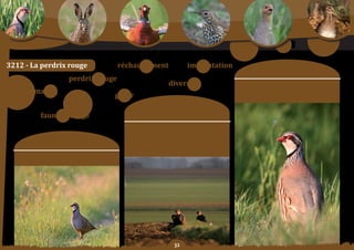 Schéma Départemental de Gestion Cynégétique
   de la FICEVY - 2009/2015




3212	-	la	perdrix	rouge                                        réchauffement                 implantation
                                                                                                                                 moyens	:
                                               perdrix	rouge
                                                                                    diversité                     orientation	n°1	:
              climat                                                                                              aCCepter la diversité des pratiques de gestion de
                                                            gérer                                                 la	perdrix	rouge.

                                                                          Constats/
                           faune sauvage                               problématique	:
                                                                  Les modifications climatiques conduisant à un
                                                                    léger réchauffement de nos départements,
                                                                  ainsi	que		quelques	exemples	d’implantations	
                       objectif SDGC :                                 réussies de perdrix rouge offrent des
                                                                   perspectives qui méritent d’être explorées.

                reconnaître	la	place	de	la	perdrix	rouge.




                                                                                       
 