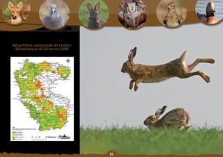 Schéma Départemental de Gestion Cynégétique
  de la FICEVY - 2009/2015




        répartition	communale	de	l’indice	
         kilométrique du lièvre en 2008




                                              
 