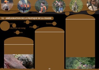 Schéma Départemental de Gestion Cynégétique
   de la FICEVY - 2009/2015




                                                                                                                                           moyens	:
51 - aMéLIoratIon De La PratIque De La ChaSSe
       gestionnaires
                                                                                                                          orientation	n°4	:
                                               durable                                                                    enCouraGer	les	chasseurs	à	participer	à	la	collecte	
  information                                                                      formations                             des	cartouches	et	douilles	usagées.

                                                                                                                          orientation	n°5	:
                                                       organiser                                                          SenSiBiliSer	 les	 responsables	 de	 chasse	 aux	
                recherche	au	sang                                                                                         traitements de la venaison et des sous-produits de
                                                                                moyens	:                                  la	chasse.

                                                                                                                          orientation	n°6	:
                                   venaison                    orientation	n°1	:                                          FaVoriSer les conventions entre territoires en vue
                                                               orGaniSer, avec la participation éventuelle des            d’un droit de « suite », limité à la recherche au sang
                                                               associations	spécialisées	ou	d’autres	partenaires,	        par	un	conducteur	agréé,	d’un	animal	blessé.
                                                               des formations continues pour les gestionnaires
                                                               de	territoire,	les	présidents	de	sociétés	de	chasse	       orientation	n°7	:
                       Constats/                               (droit de la chasse, droit associatif, sécurité
                                                               à	 la	 chasse,	 gestion	 petit	 gibier,	 grand	 gibier,	
                                                                                                                          SenSiBiliSer	 les	 responsables	 de	 chasse	 au	 grand	
                                                                                                                          gibier	en	battue,	au	contrôle	systématique	de	tous	les	
                    problématique	:                            traitement de la venaison, suivi sanitaire, gestion
                                                               forestière…). une attention particulière doit
                                                                                                                          tirs,	au	balisage	du	lieu	d’impact	et	de	la	direction	de	
                                                                                                                          fuite (pas plus de 100m) en cas de blessure et enfin
                                                               être portée aux différents modes de chasse, afin           à	 l’appel	 à	 un	 conducteur	 agréé	 pour	 rechercher	
                                                               que chacun puisse comprendre l’autre (vénerie,             l’animal	blessé.	
           Dans un environnement social, économique et
                                                               fauconnerie, chasse à la bécasse…).
               géographique en évolution constante,                                                                       orientation	n°8	:
          les	chasseurs	et	les	gestionnaires	de	territoires	   orientation	n°2	:                                          Pour la chasse à poste fixe du pigeon ramier, avec
           ont un besoin permanent d’information pour          Continuer        d’offrir    des     formations            utilisation d’appelants vivants ou artificiels, les
                mettre en œuvre une chasse durable.            complémentaires de qualité pour mieux servir               postes de tir devront se trouver à plus de 100 m de la
                                                               la pratique de la chasse (formation de piégeurs,           limite des territoires voisins.
                                                               de gardes particuliers, chasse à l’arc, hygiène            pour	le	Val	d’oise,	cette	mesure	ne	s’applique	pas	aux	
                                                               de la venaison, sécurité, aménagement et                   territoires d’une surface égale ou supérieure à 4 ha.
                                                               développement durable…).

                                                               orientation	n°3	:
                                                               pourSuiVre l’information des adhérents par le
                                                               site Internet « chasse-ficevy.com » et par support
                                                               papier.



                                                                                        
 