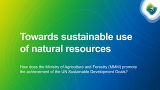 Towards sustainable use
of natural resources
How does the Ministry of Agriculture and Forestry (MMM) promote
the achievement of the UN Sustainable Development Goals?
 