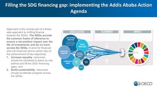 OECD Financing for Sustainable Development | PPTX