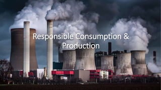 Responsible Consumption &
Production
 
