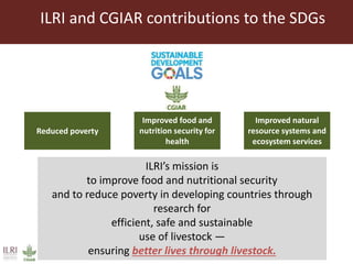 Livestock research contributions to the Sustainable Development Goals ...