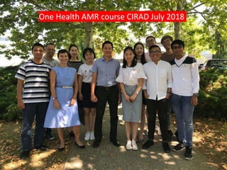 Livestock research contributions to the Sustainable Development Goals