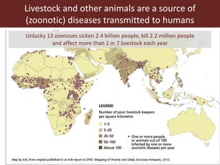 Livestock research contributions to the Sustainable Development Goals